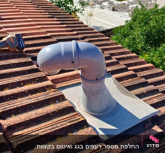צינור פלסטיק על גג רעפים אדום עם חזזיות